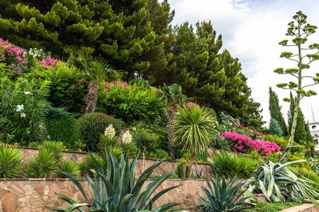 Beautiful embankment in village of Partenit in Crimeaの写真素材