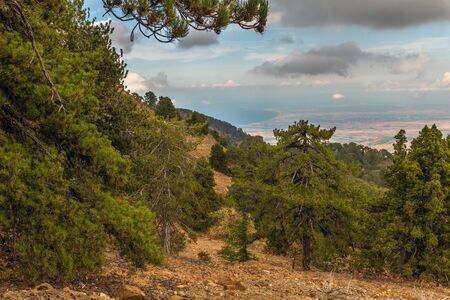 View from Mount , the highest peak of the island of Cyprus. Troodos mountainsの写真素材