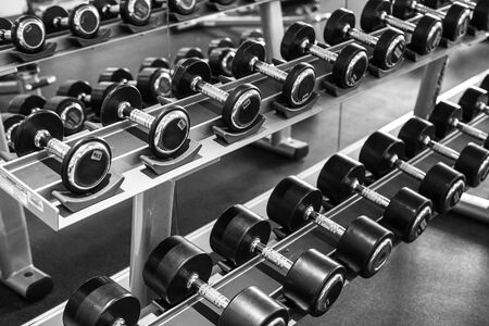 Set of different weight dumbbells in a gymの写真素材
