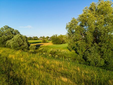 The Country rural landscape with trees in Russiaの写真素材