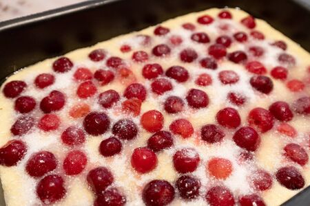 Raw cherry pie on baking sheetの写真素材