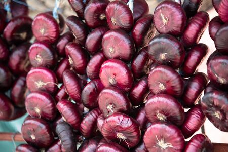 The Rows of Harvest ripe Red Onionsの写真素材