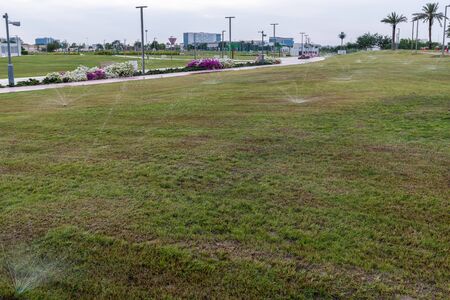 An Outdoor lawn with watering system in Doha, Qatarの写真素材