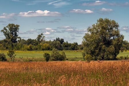 autumn nature in steppe part of Russiaの写真素材