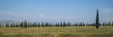 Landscape with trees in lowlands of Montenegroの写真素材