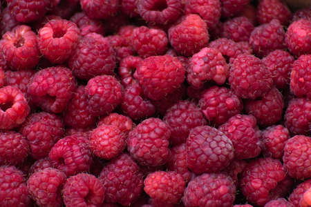 Beautiful background of ripe large raspberriesの写真素材