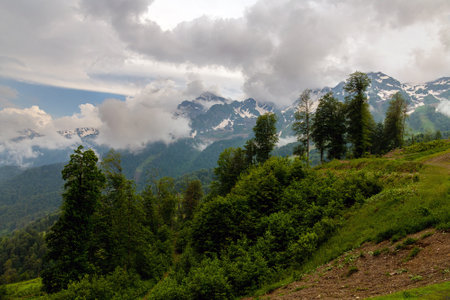 The Summer landscape in the Caucasus Mountains. Russiaの写真素材