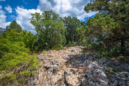 Beautiful natural landscape on Mount Koshka, a landmark in Crimeaの写真素材