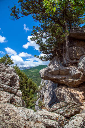 Beautiful natural landscape on Mount Koshka, a landmark in Crimeaの写真素材
