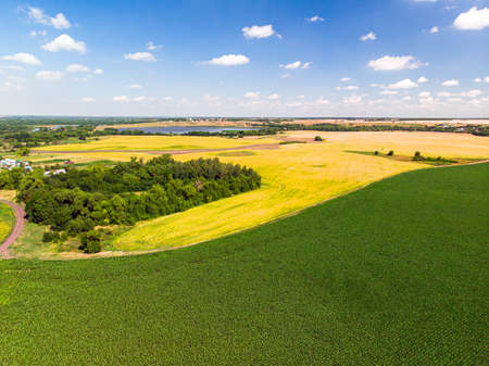Top view of corn and sunflower fields in Russiaの写真素材