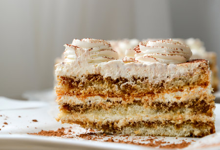 Piece of butter cream cake with a chocolate chipsの写真素材