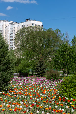Zelenograd - an eco-friendly area in Moscow, Russia. High-rise building surrounded by treesの写真素材