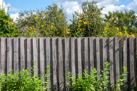 Unpainted wooden fence in the gardenの写真素材