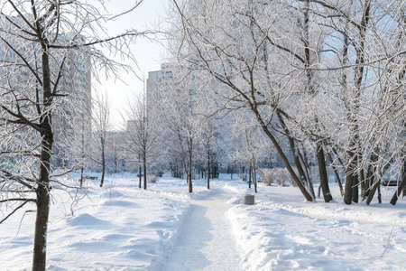Snow-covered boulevard in microdistrict 20 Zelenograd in Moscow, Russiaの写真素材