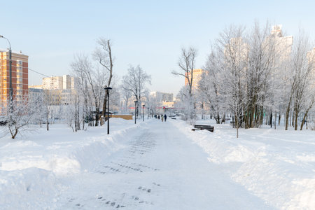 Snow-covered boulevard in a microdistrict 20 Zelenograd in Moscow, Russiaの写真素材