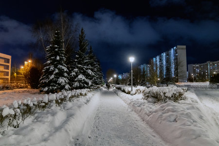 Winter landscape in Zelenograd with a snow-covered fir trees. Moscow, Russiaの写真素材