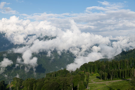 Caucasus mountains with trees and a clouds, Russiaの写真素材