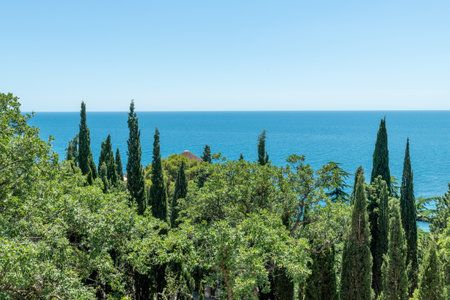 View of Miskhor Park and Black Sea, Crimeaの写真素材