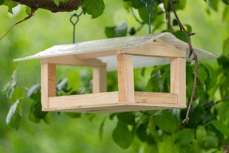 Wooden bird feeder hanging on a tree branch in summerの写真素材