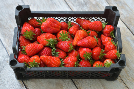 Ripe delicious strawberries in a white plastic container on a wooden backgroundの写真素材
