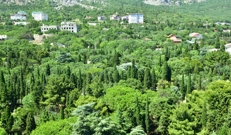 Top view of Foros Park - a landscape park in the village of Foros in the Crimeaの写真素材