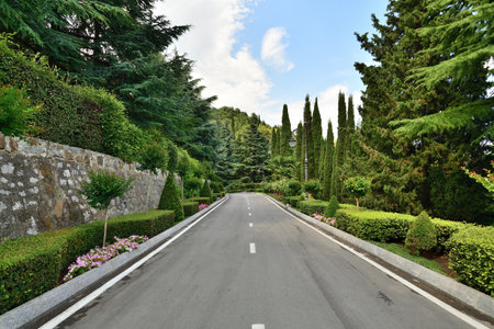 Walking alley in a Park landscape in Crimeaの写真素材