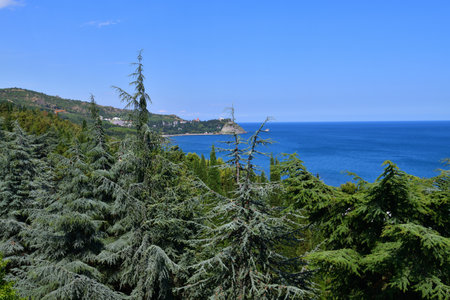 nature of the southern coast of Crimea - the sea, pines and mountainsの写真素材