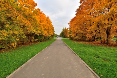 Moscow, Russia - October 2. 2021. The autumn in a boulevard in Zelenogradの写真素材