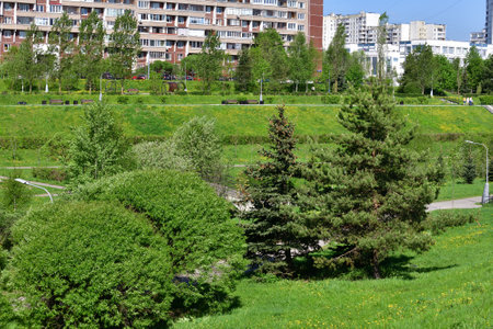 Moscow, Russia - 19 May. 2021. Zelenograd is an eco-friendly area in the north-west of Moscowの写真素材