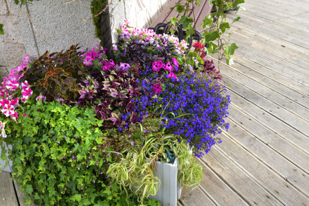 Flowers in vase near the houseの写真素材