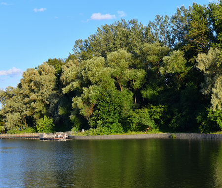 Arboretum and large city pond in Zelenograd in Moscow, Russiaの写真素材
