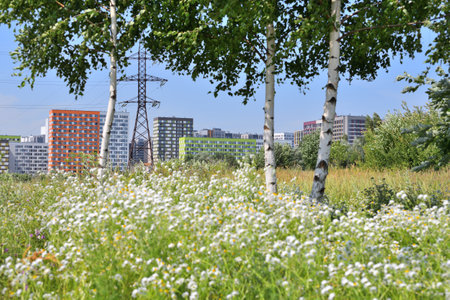Zelenograd is eco-friendly district of Moscow, Russiaの写真素材