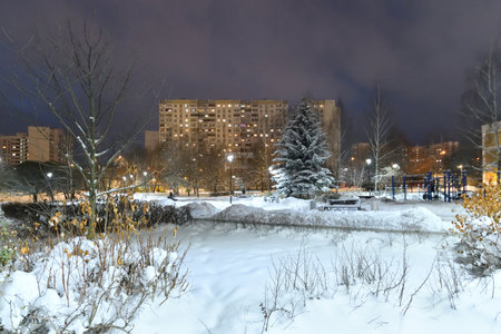 Winter cityscape with multi-storey residential buildings and snow covered fir trees in Moscow, Russiaの写真素材