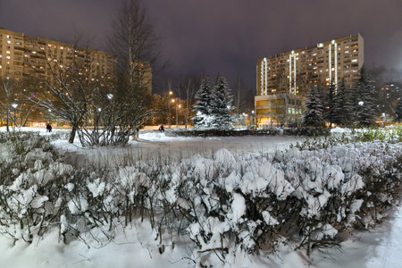 Winter cityscape with multi-storey residential buildings and snow covered fir trees in Moscow, Russiaの写真素材