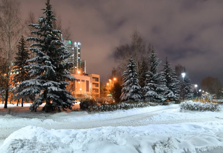 Winter cityscape with multi-storey residential buildings and snow covered fir trees in Moscow, Russiaの写真素材