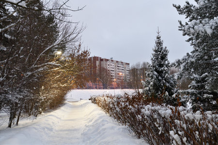 Snow-covered alley in winter park in Moscow, Russiaの写真素材