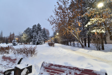 Snow-covered alley in winter park in Moscow, Russiaの写真素材