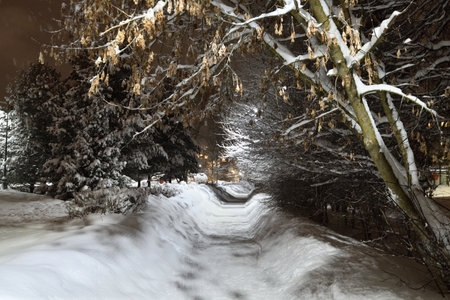 Winter cityscape in park in Moscow, Russiaの写真素材