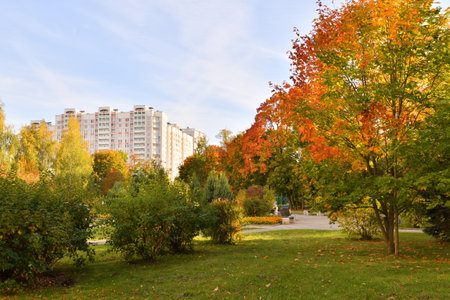 Autumn city park with a paths in Moscow, Russiaの写真素材