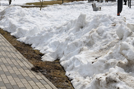 Drifts of dirty snow in park in early springの写真素材