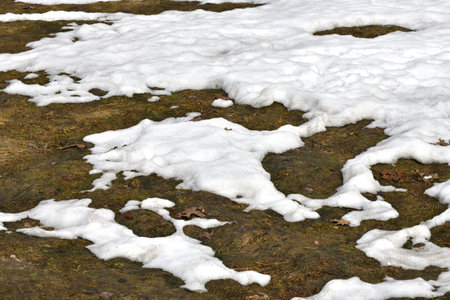 Snow thawed areas in early springの写真素材