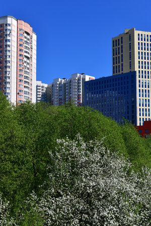City houses surrounded by trees in the Moscow, Russiaの写真素材