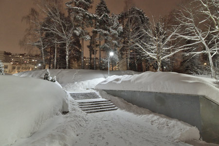 Night city park during a snowfall. Moscow, Russiaの写真素材