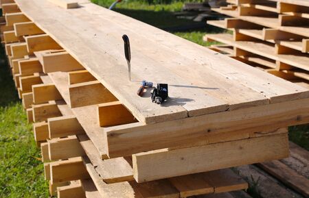 Sides from a tree for a binding and fillingの写真素材