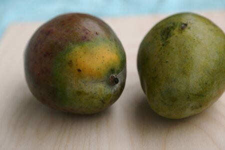 Fresh mango fruit in green peel before cooking on the table
