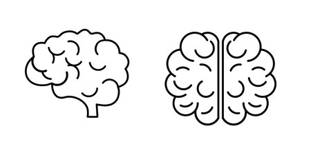 Memory brain icon set. Outline set of memory brain vector icons for web design isolated on white backgroundのイラスト素材