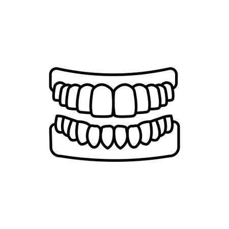 Human jaw outline icon. Human mouth, human teeth vector illustration.のイラスト素材