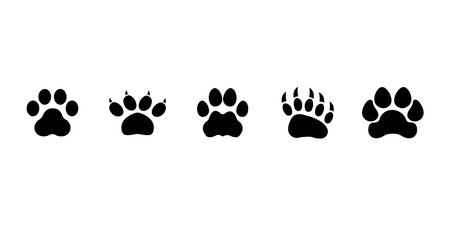 Different footprints of big cats. Leopard illustration setのイラスト素材