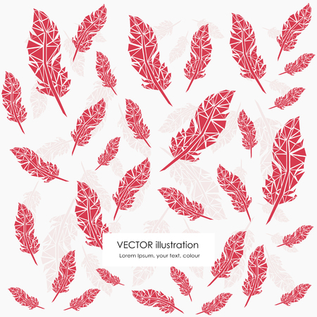 Vector Set of Stylized or Abstract Feathers and Feather Silhouettesのイラスト素材