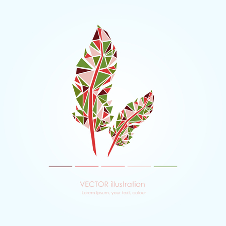 Vector Set of Stylized or Abstract Feathers and Feather Silhouettesのイラスト素材